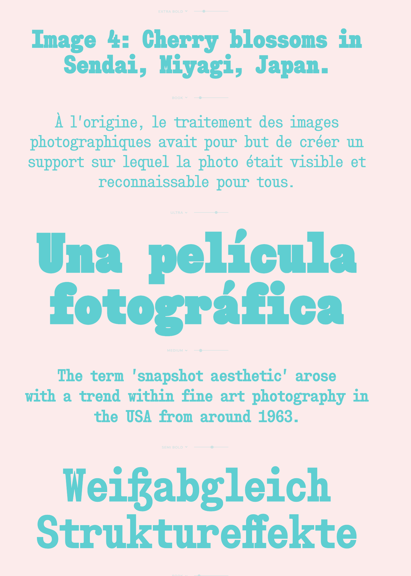 Snapshot